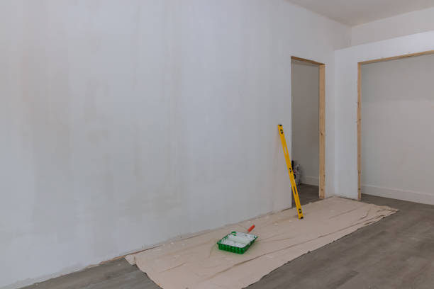 Best Fire-Damaged Drywall Repair  in Tiltonsville, OH