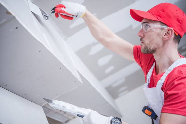 Best Water-Damaged Drywall Repair  in Tiltonsville, OH